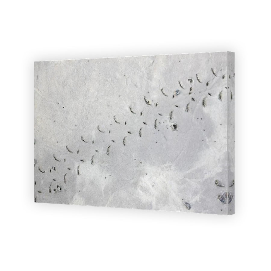 Thumbnail for Canvas - Mirror Image Canvas Wrap