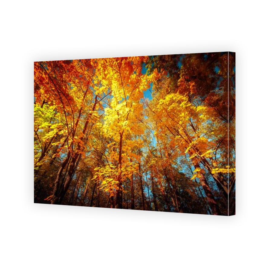 Thumbnail for Canvas - Mirror Image Canvas Wrap
