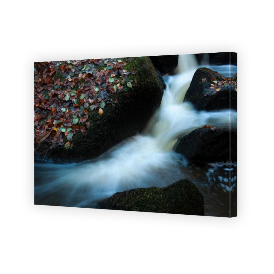 Thumbnail for Canvas - Mirror Image Canvas Wrap