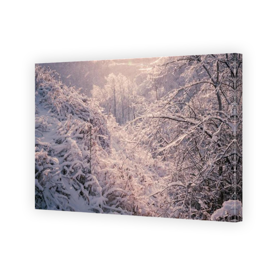 Thumbnail for Canvas - Mirror Image Canvas Wrap