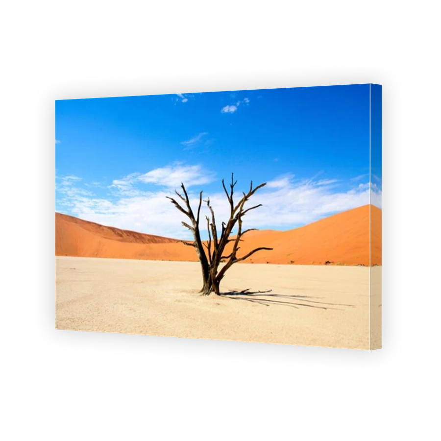 Thumbnail for Canvas - Mirror Image Canvas Wrap