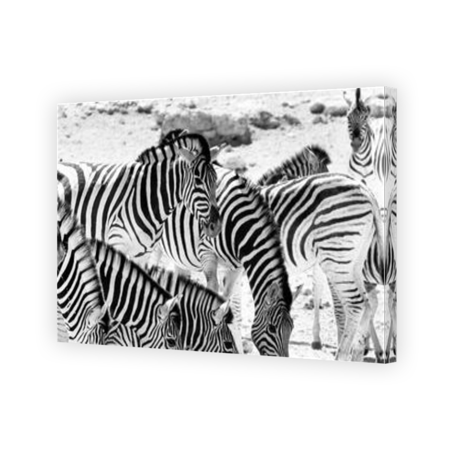 Thumbnail for Canvas - Mirror Image Canvas Wrap