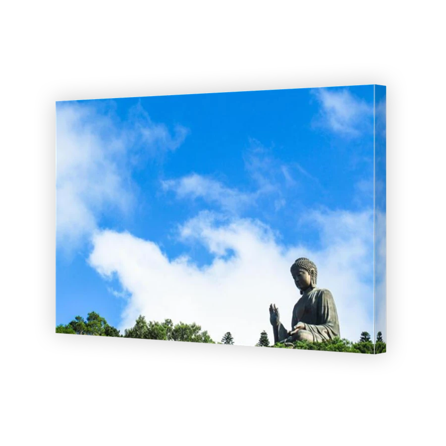 Thumbnail for Canvas - Mirror Image Canvas Wrap