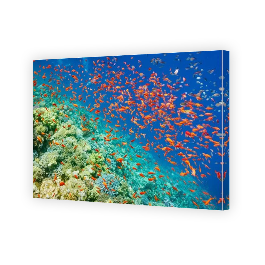 Thumbnail for Canvas - Mirror Image Canvas Wrap
