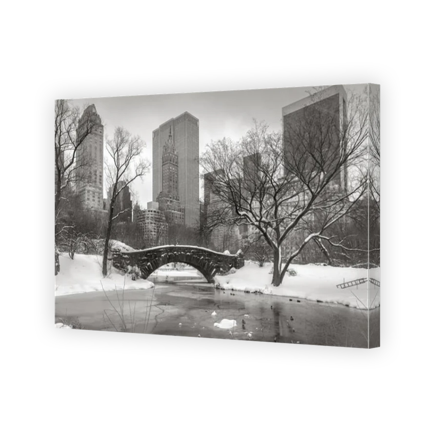 Thumbnail for Canvas - Mirror Image Canvas Wrap