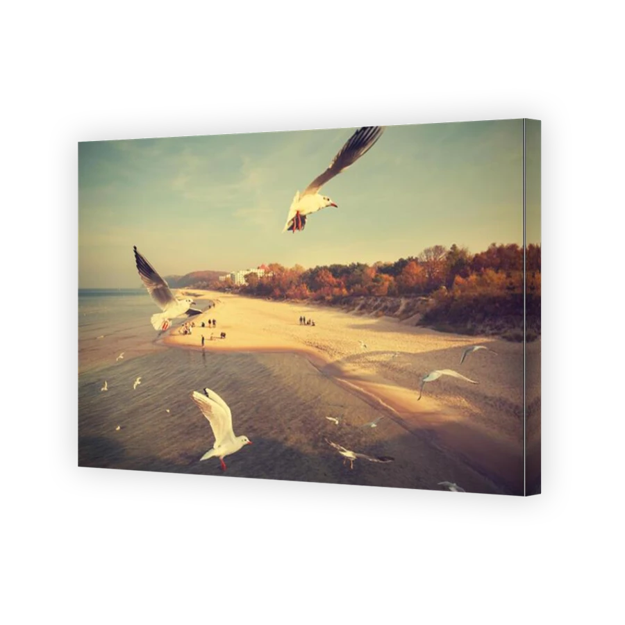 Thumbnail for Canvas - Mirror Image Canvas Wrap