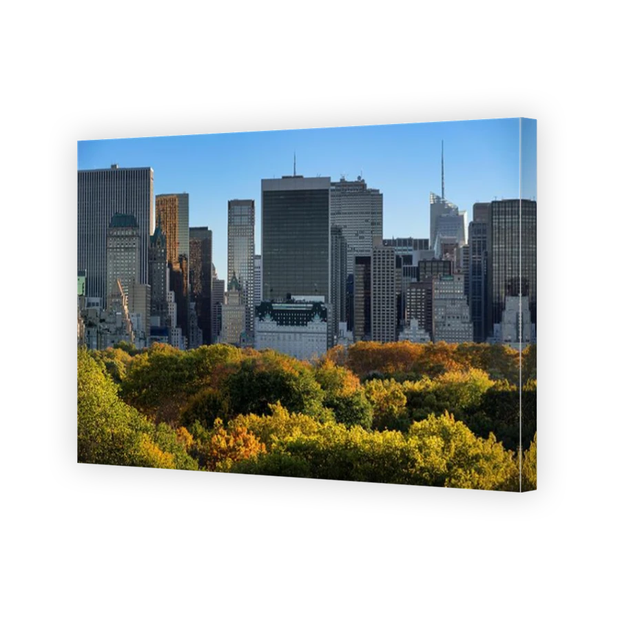 Thumbnail for Canvas - Mirror Image Canvas Wrap