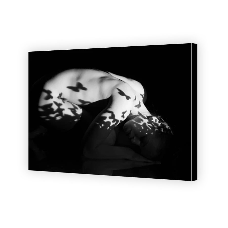 Thumbnail for Canvas - Mirror Image Canvas Wrap