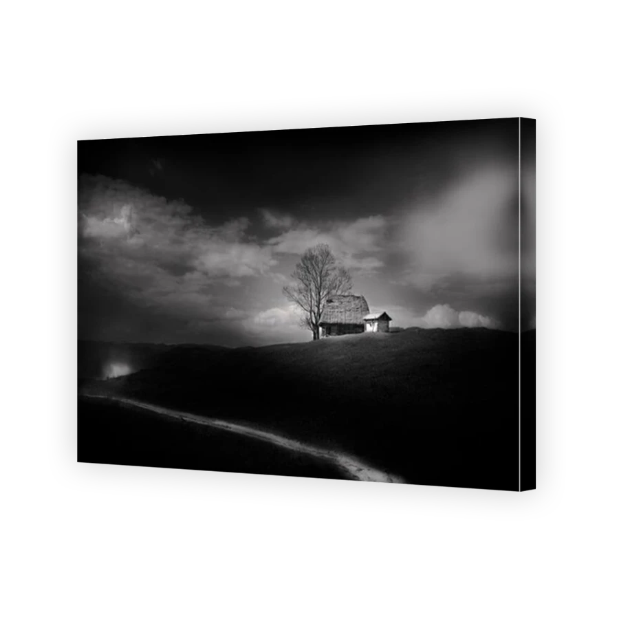 Thumbnail for Canvas - Mirror Image Canvas Wrap