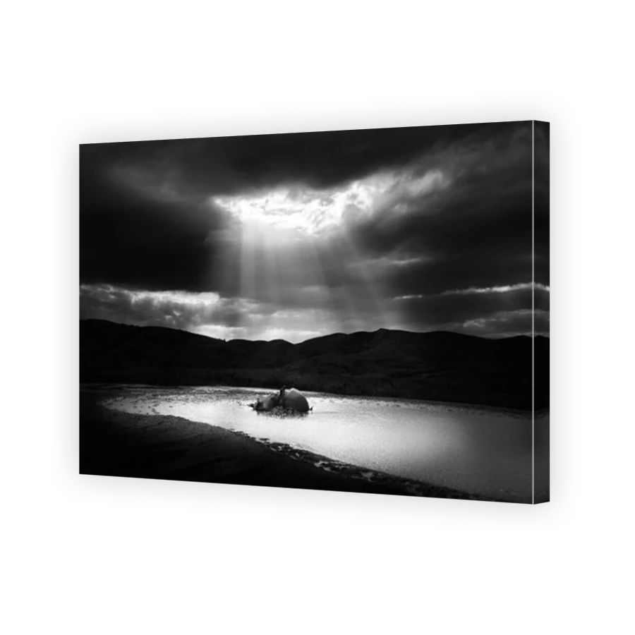 Thumbnail for Canvas - Mirror Image Canvas Wrap