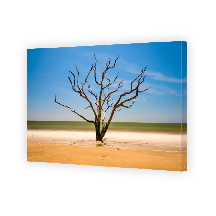 Thumbnail for Canvas - Mirror Image Canvas Wrap