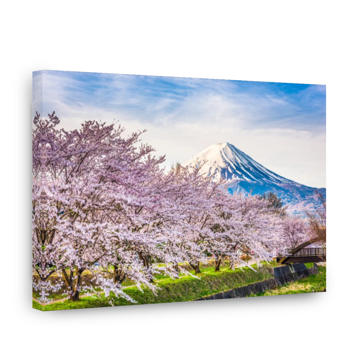Mount Fuji Japan in Spring | Canvas Factory