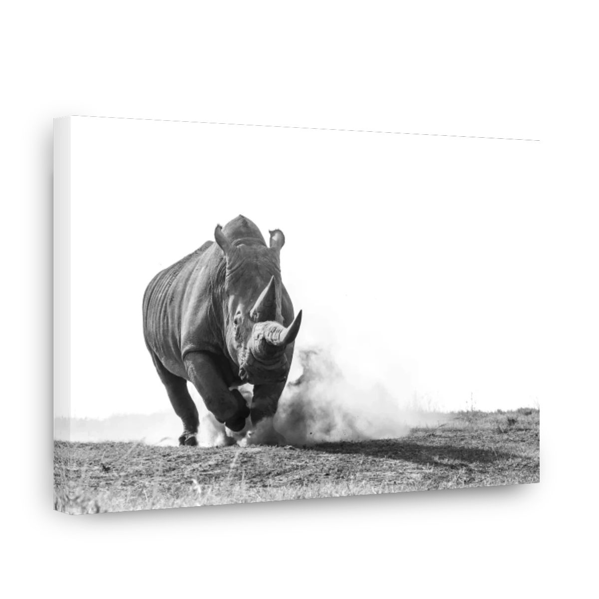 Powerful Rhino Charging Through Dust | Canvas Factory