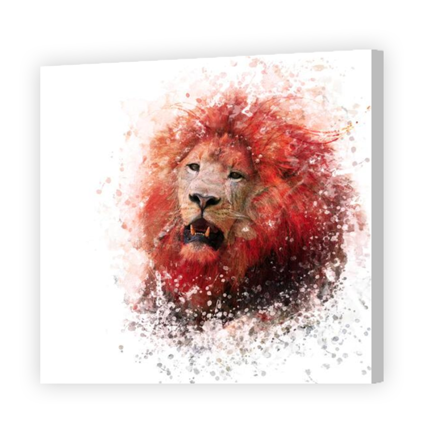 Thumbnail for Canvas - Coloured Canvas Wrap