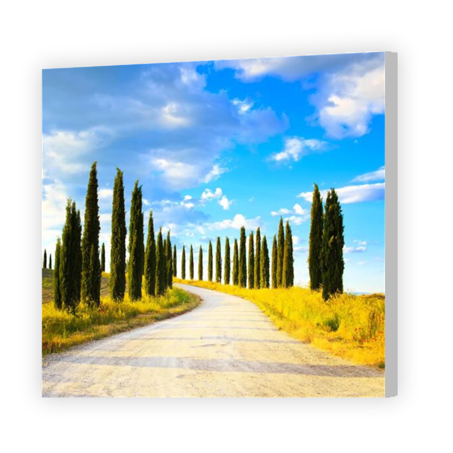 Thumbnail for Canvas - Coloured Canvas Wrap