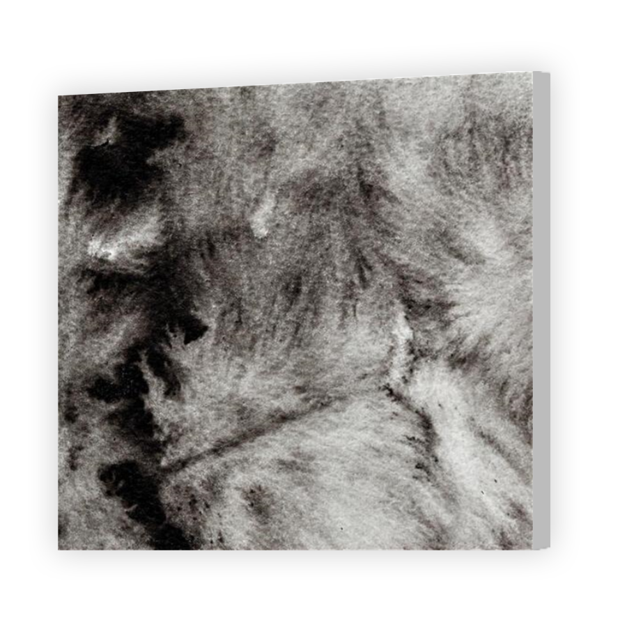 Thumbnail for Canvas - Coloured Canvas Wrap