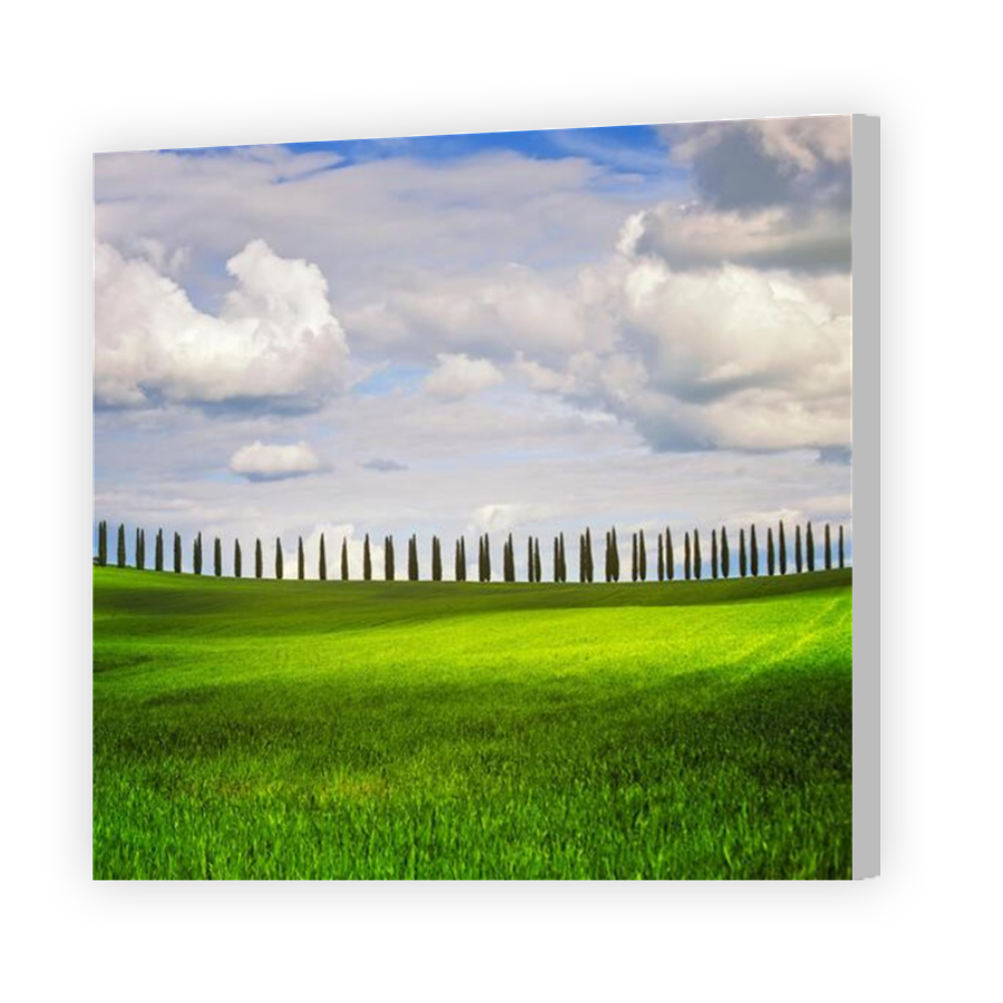 Thumbnail for Canvas - Coloured Canvas Wrap