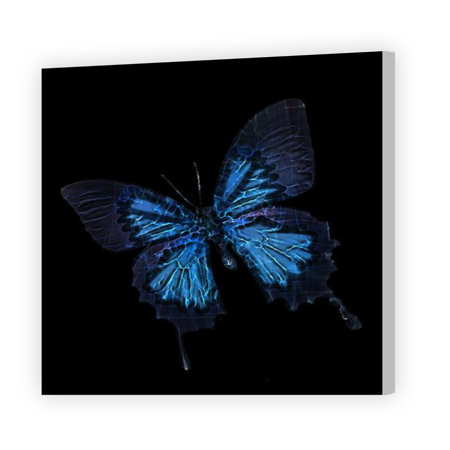 Thumbnail for Canvas - Coloured Canvas Wrap