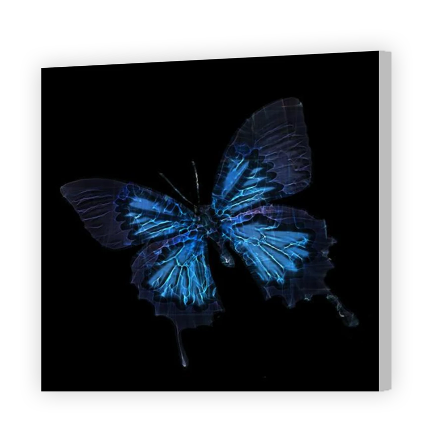 Thumbnail for Canvas - Coloured Canvas Wrap