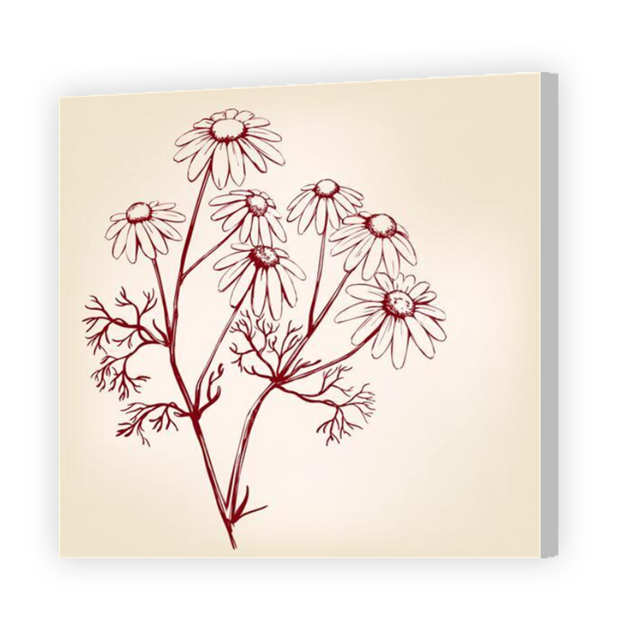 Thumbnail for Canvas - Coloured Canvas Wrap