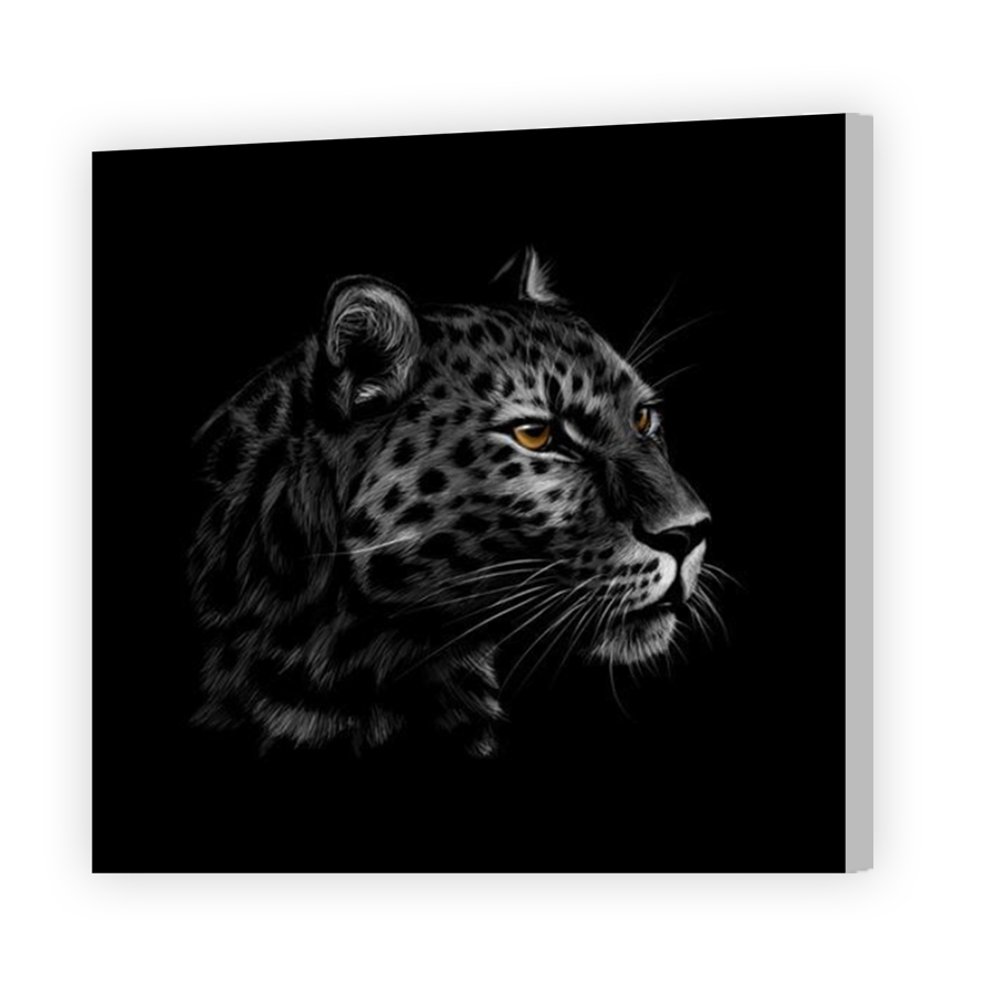 Thumbnail for Canvas - Coloured Canvas Wrap