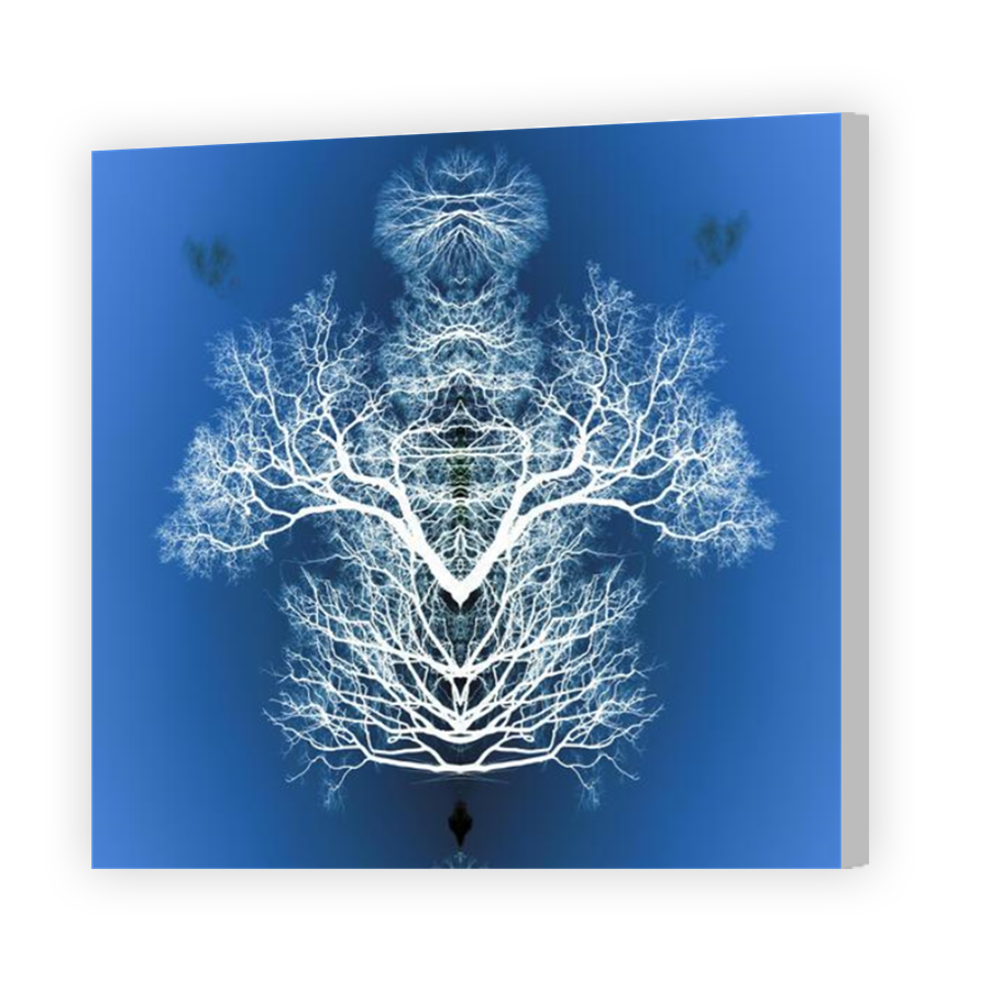 Thumbnail for Canvas - Coloured Canvas Wrap