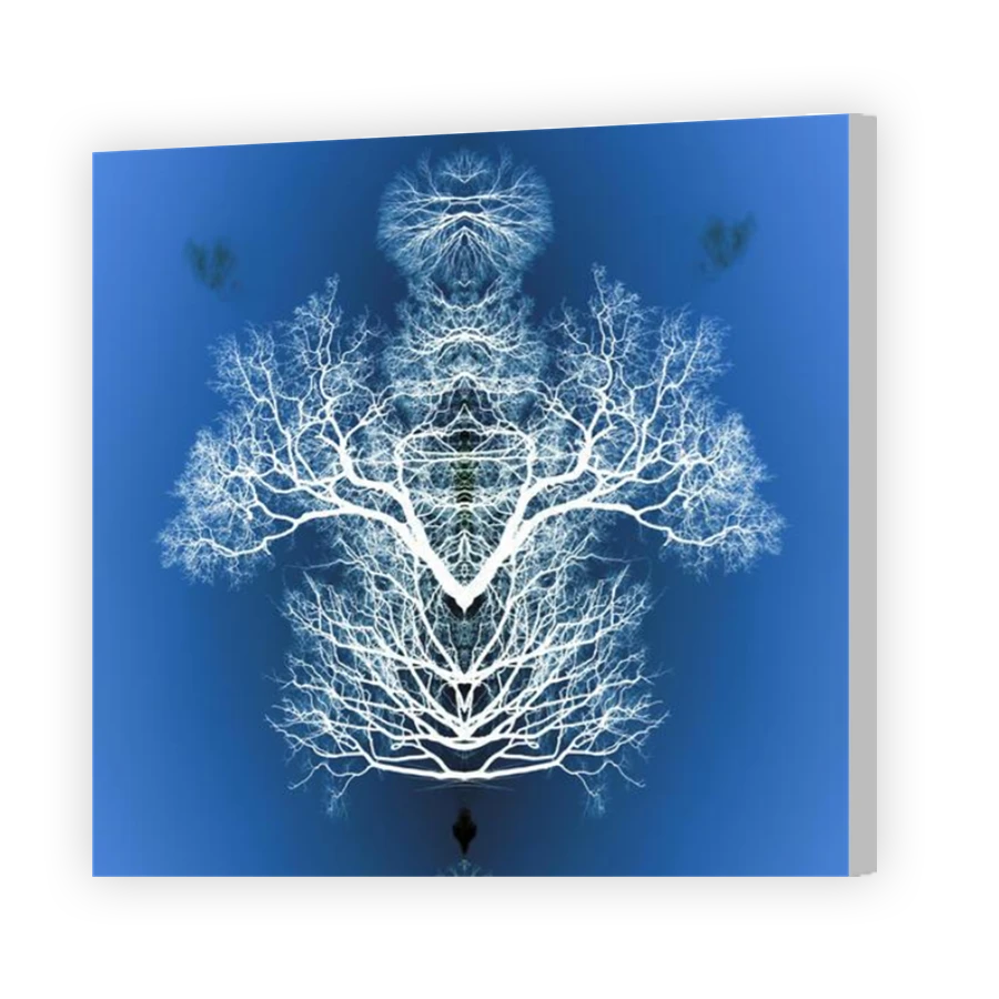 Thumbnail for Canvas - Coloured Canvas Wrap
