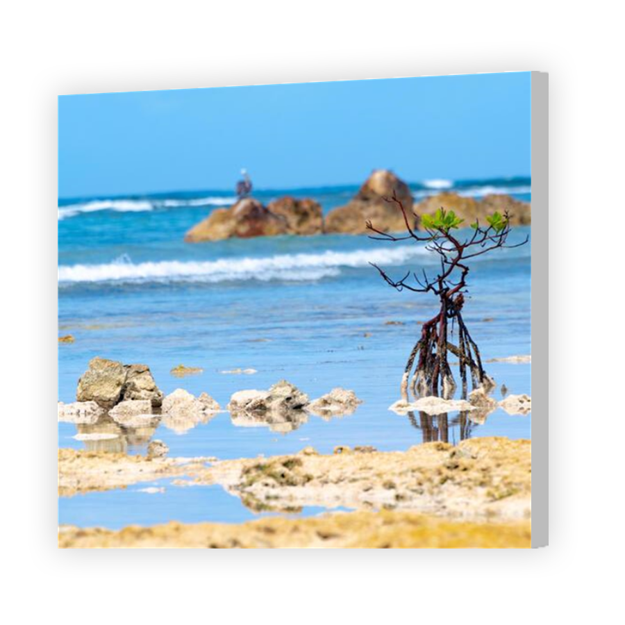 Thumbnail for Canvas - Coloured Canvas Wrap