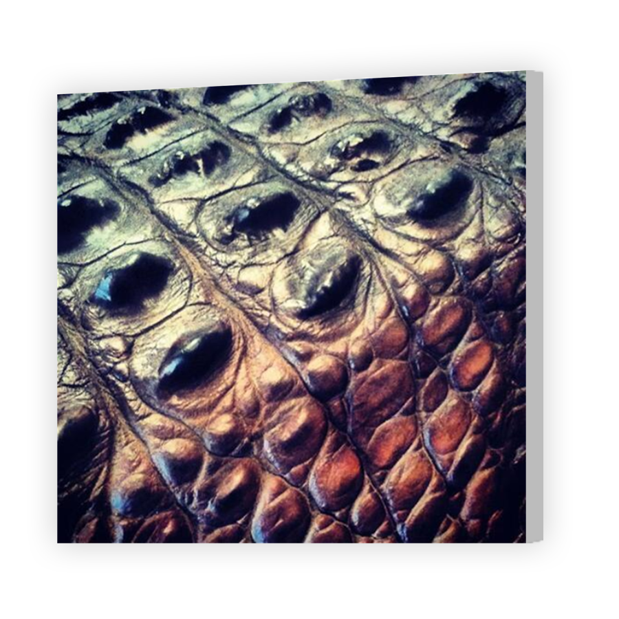 Thumbnail for Canvas - Coloured Canvas Wrap