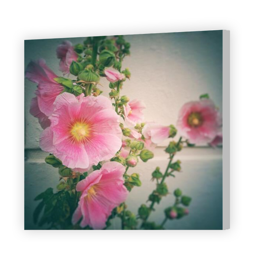 Thumbnail for Canvas - Coloured Canvas Wrap