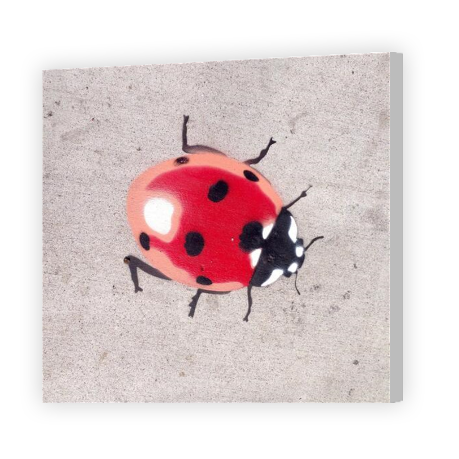 Thumbnail for Canvas - Coloured Canvas Wrap