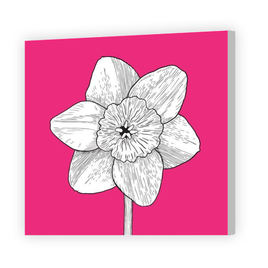 Thumbnail for Canvas - Coloured Canvas Wrap