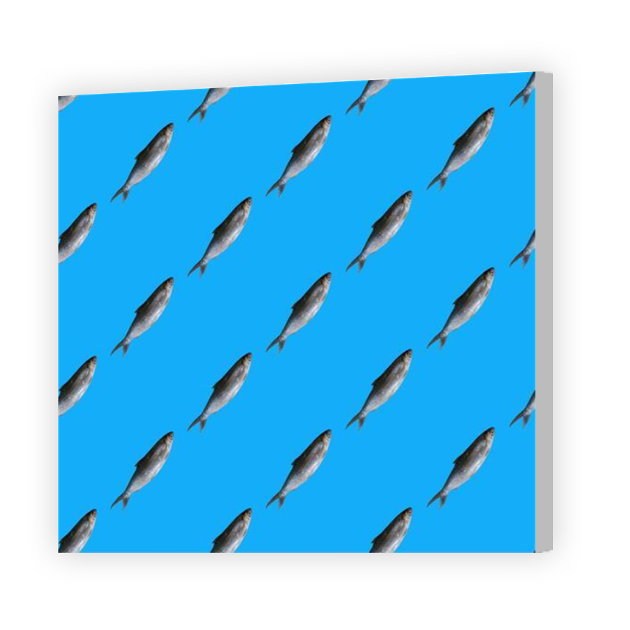 Thumbnail for Canvas - Coloured Canvas Wrap