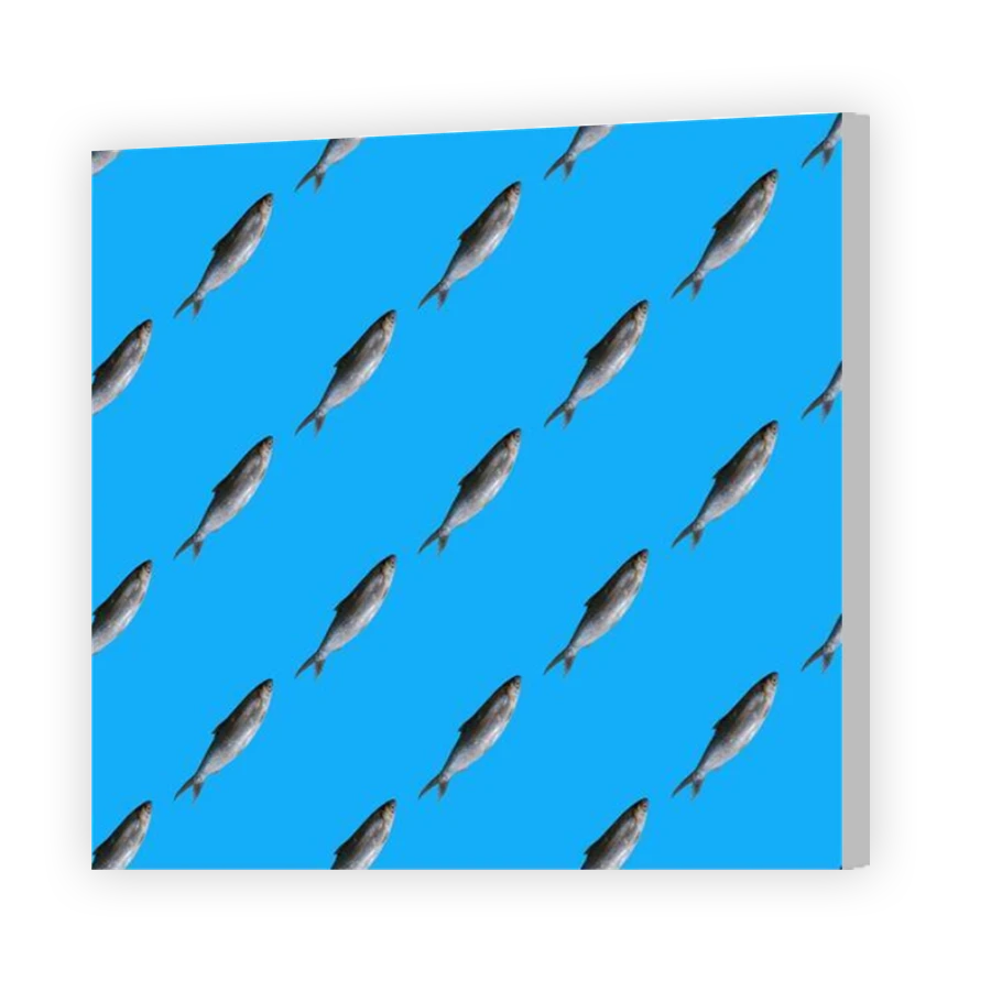 Thumbnail for Canvas - Coloured Canvas Wrap