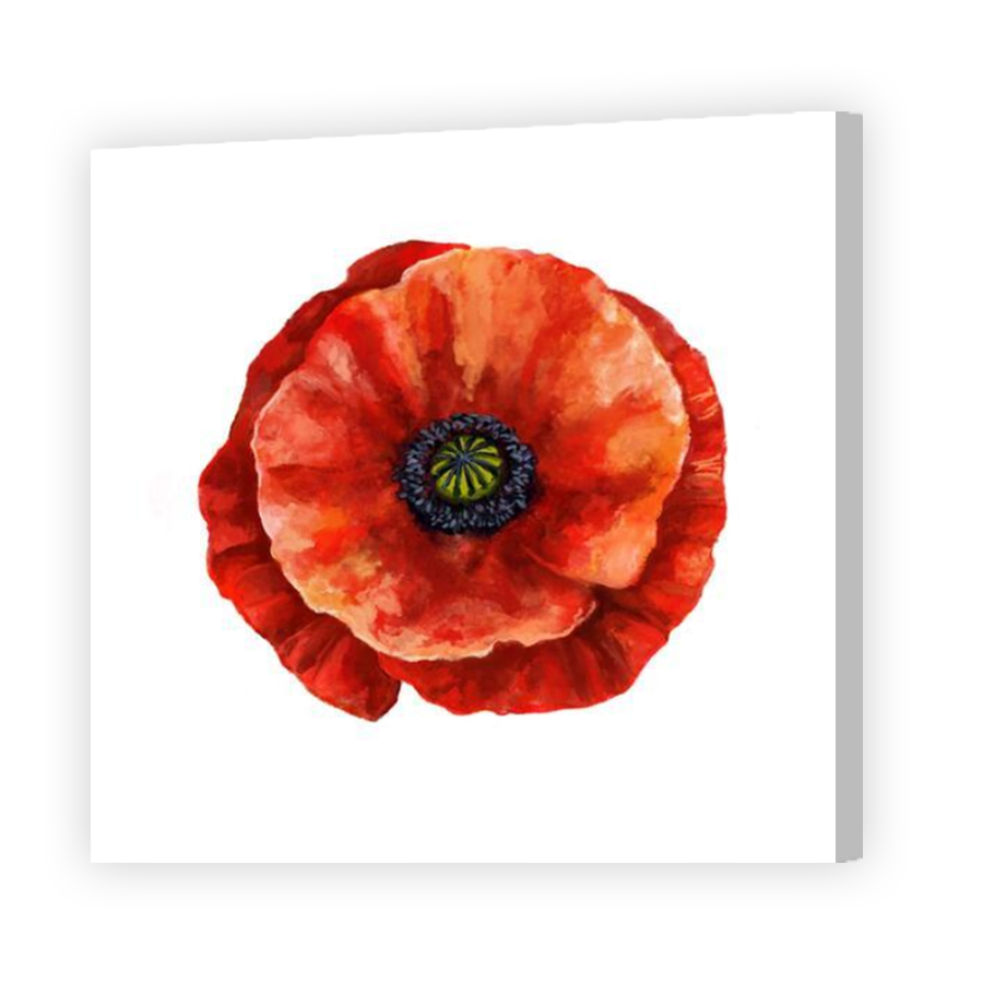 Thumbnail for Canvas - Coloured Canvas Wrap