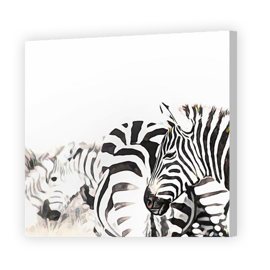 Thumbnail for Canvas - Coloured Canvas Wrap