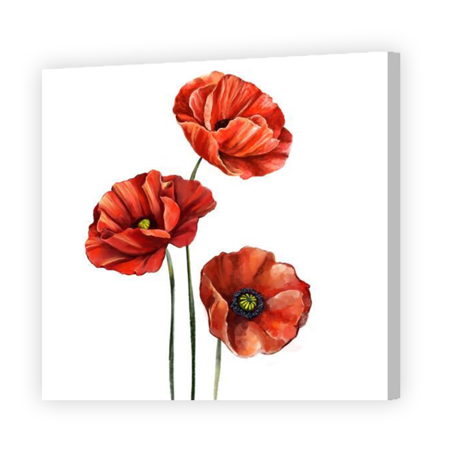 Thumbnail for Canvas - Coloured Canvas Wrap