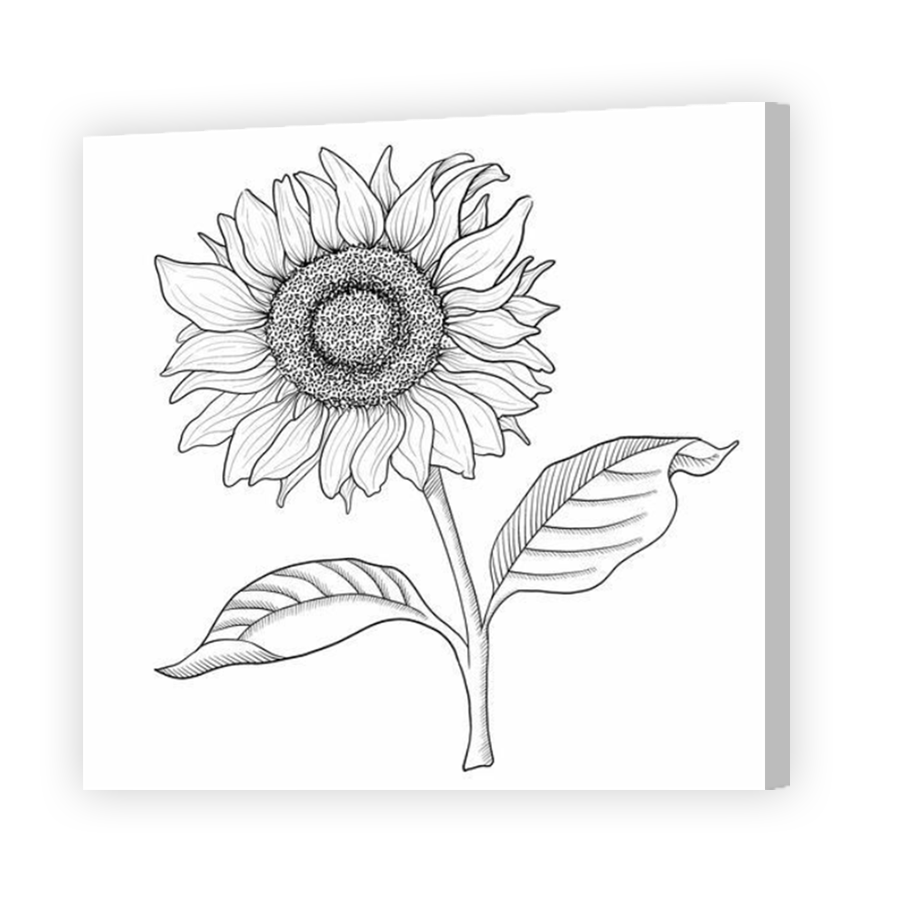 Thumbnail for Canvas - Coloured Canvas Wrap
