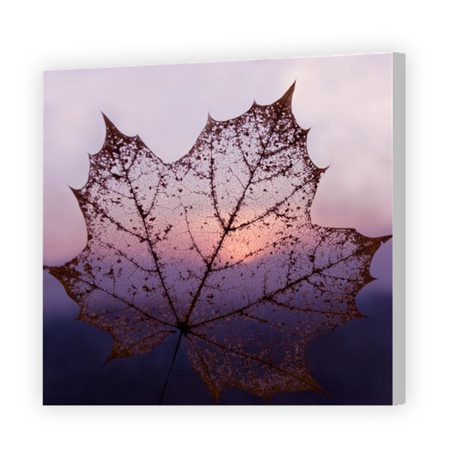 Thumbnail for Canvas - Coloured Canvas Wrap