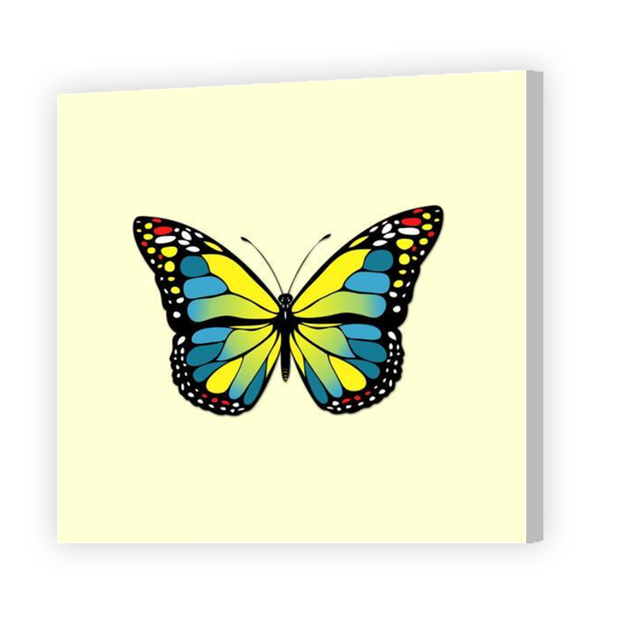 Thumbnail for Canvas - Coloured Canvas Wrap