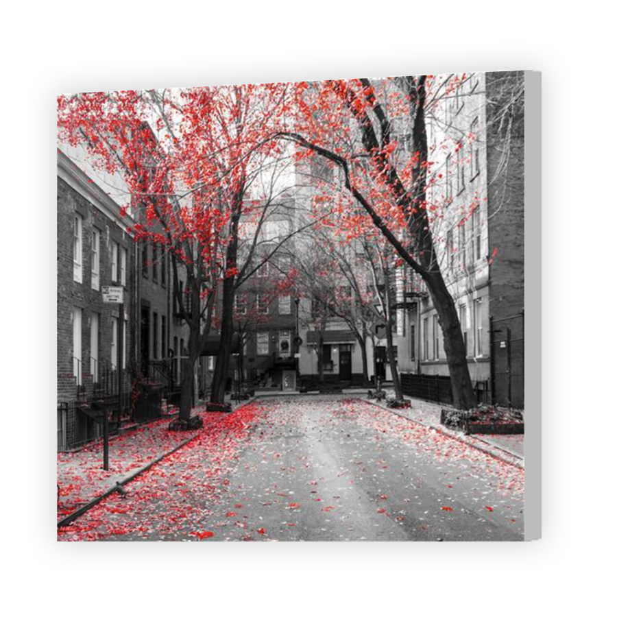 Thumbnail for Canvas - Coloured Canvas Wrap