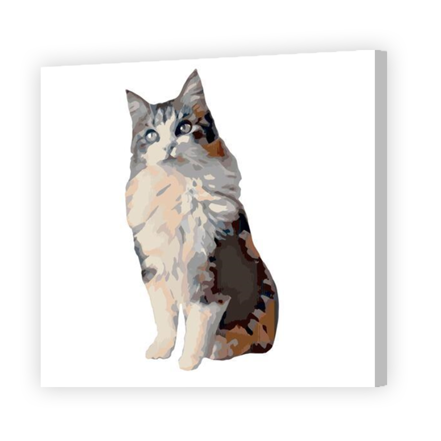 Thumbnail for Canvas - Coloured Canvas Wrap