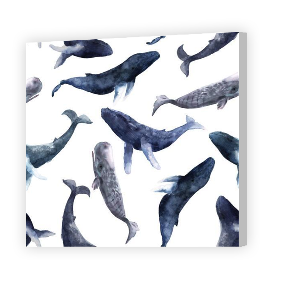 Thumbnail for Canvas - Coloured Canvas Wrap