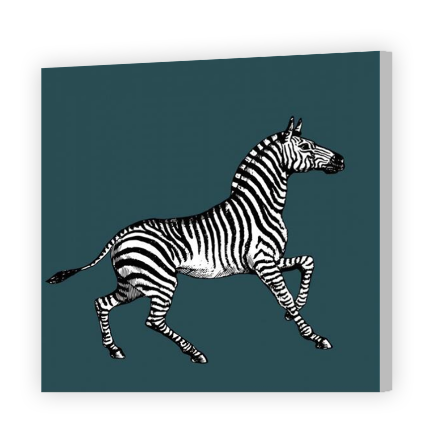 Thumbnail for Canvas - Coloured Canvas Wrap