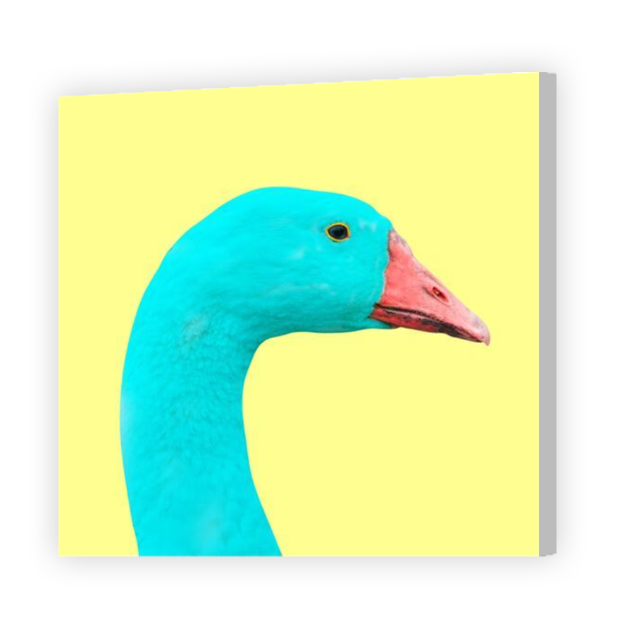 Thumbnail for Canvas - Coloured Canvas Wrap