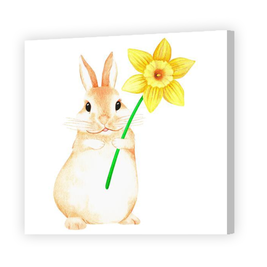 Thumbnail for Canvas - Coloured Canvas Wrap