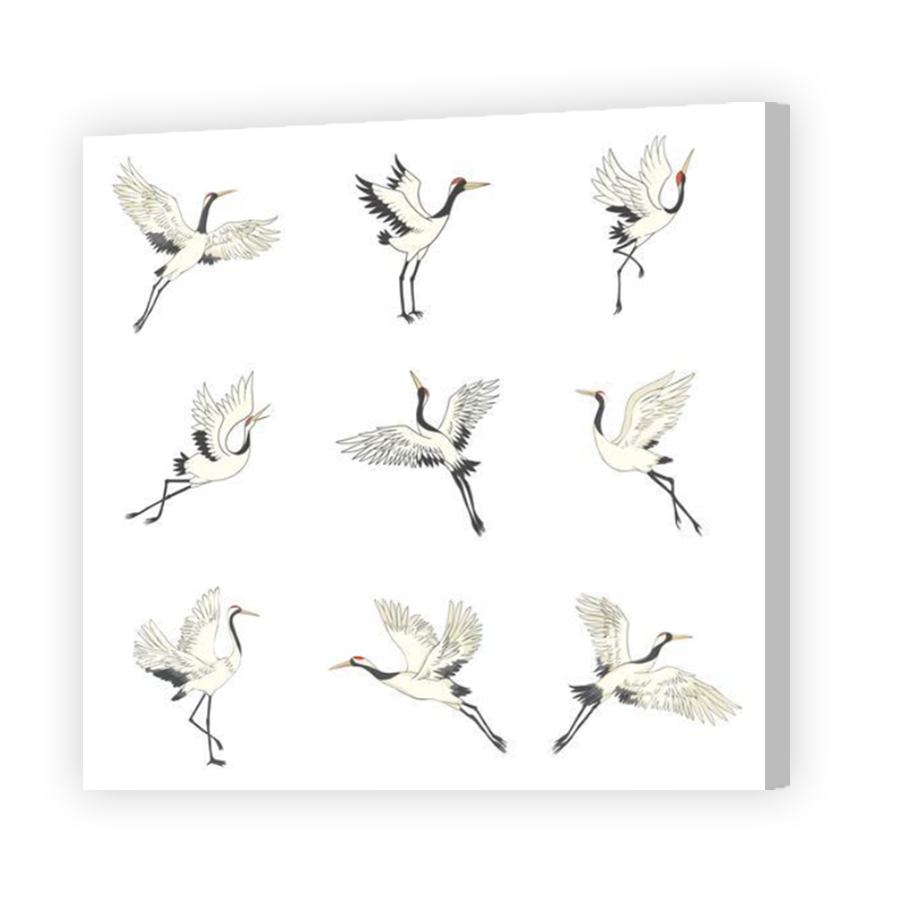 Thumbnail for Canvas - Coloured Canvas Wrap