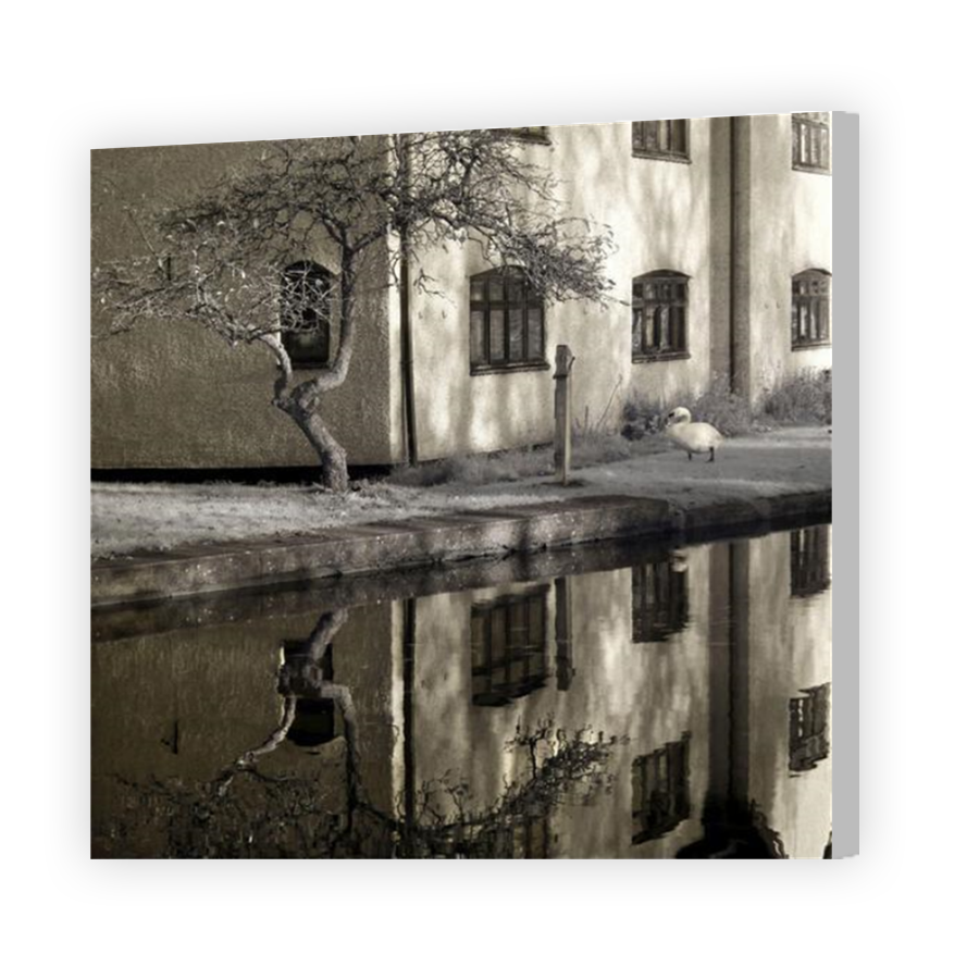 Thumbnail for Canvas - Coloured Canvas Wrap