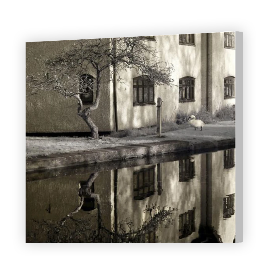 Thumbnail for Canvas - Coloured Canvas Wrap