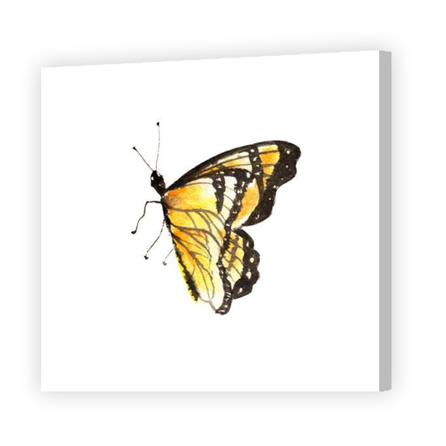 Thumbnail for Canvas - Coloured Canvas Wrap